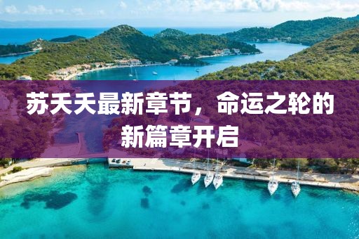 苏夭夭最新章节，命运之轮的新篇章开启