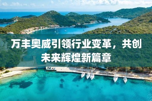 万丰奥威引领行业变革,共创未来辉煌新篇章