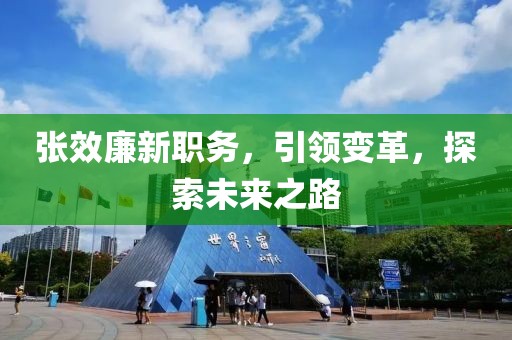 张效廉新职务，引领变革，探索未来之路
