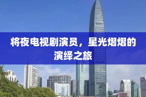 将夜电视剧演员，星光熠熠的演绎之旅