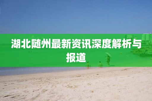 湖北随州最新资讯深度解析与报道
