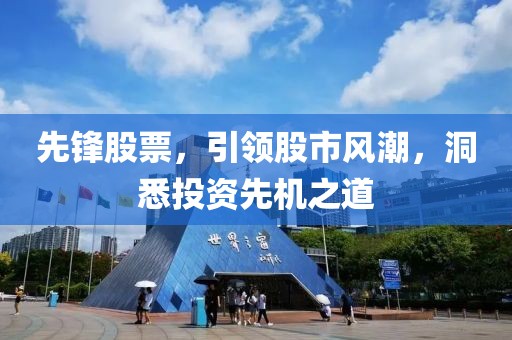 先锋股票,引领股市风潮,洞悉投资先机之道