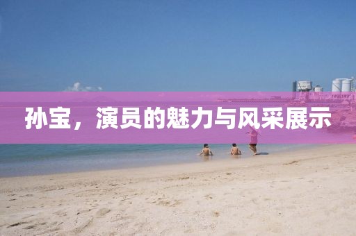 孙宝,演员的魅力与风采展示