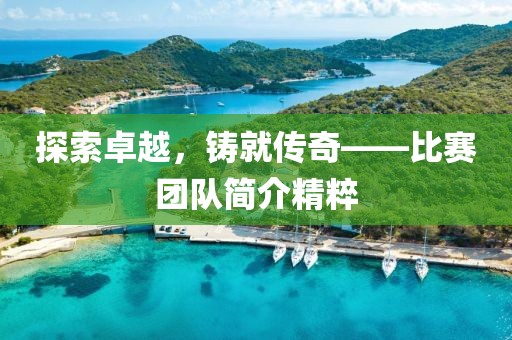 探索卓越，铸就传奇——比赛团队简介精粹