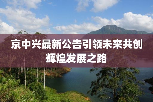 京中兴最新公告引领未来共创辉煌发展之路