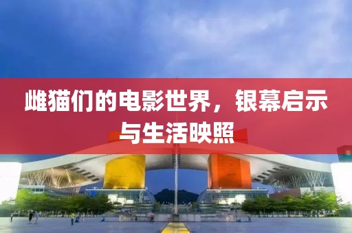 雌猫们的电影世界，银幕启示与生活映照
