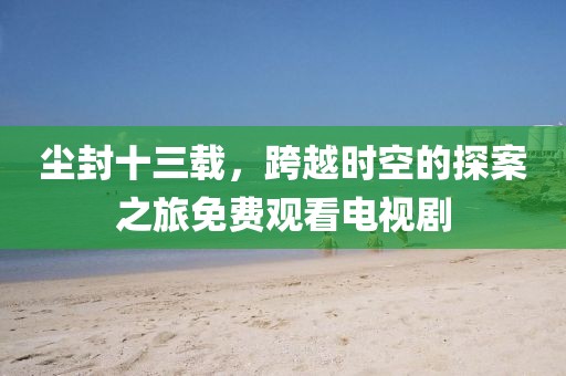 尘封十三载,跨越时空的探案之旅免费观看电视剧