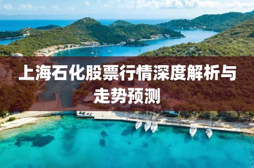 上海石化股票行情深度解析与走势预测