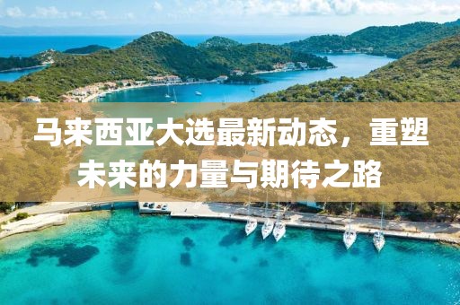马来西亚大选最新动态，重塑未来的力量与期待之路
