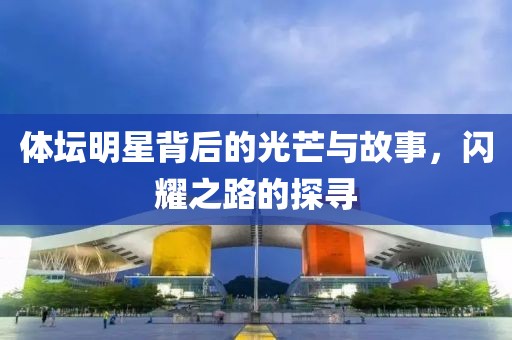 体坛明星背后的光芒与故事，闪耀之路的探寻