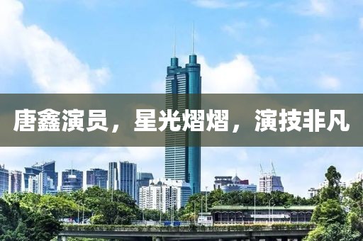 唐鑫演员,星光熠熠,演技非凡