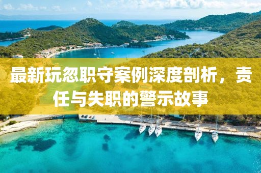 最新玩忽职守案例深度剖析，责任与失职的警示故事