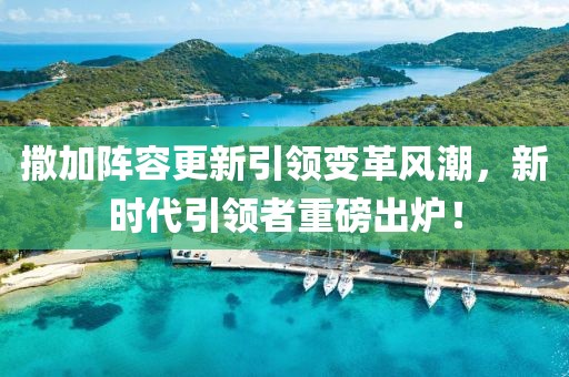 撒加阵容更新引领变革风潮，新时代引领者重磅出炉！