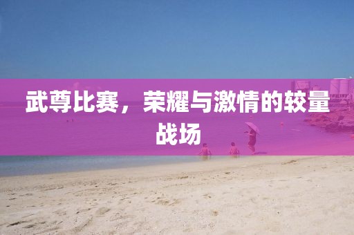 武尊比赛，荣耀与激情的较量战场