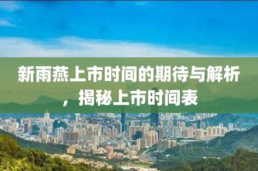 新雨燕上市时间的期待与解析，揭秘上市时间表