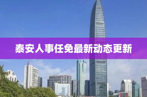 泰安人事任免最新动态更新