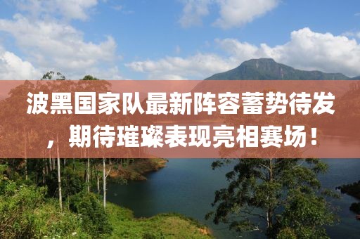 波黑国家队最新阵容蓄势待发，期待璀璨表现亮相赛场！