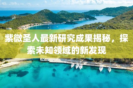 紫微圣人最新研究成果揭秘，探索未知领域的新发现
