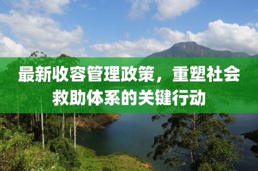 最新收容管理政策，重塑社会救助体系的关键行动