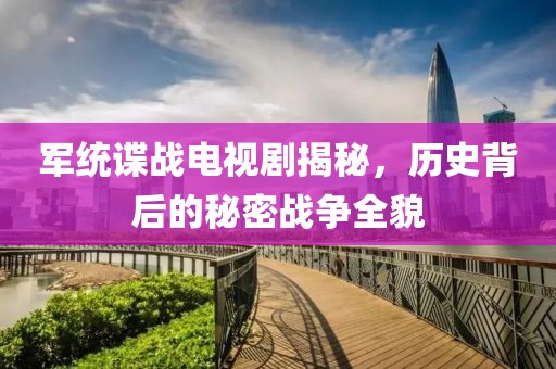 军统谍战电视剧揭秘，历史背后的秘密战争全貌
