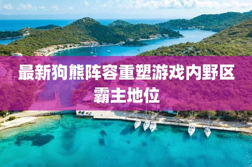 最新狗熊阵容重塑游戏内野区霸主地位