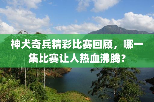 神犬奇兵精彩比赛回顾，哪一集比赛让人热血沸腾？