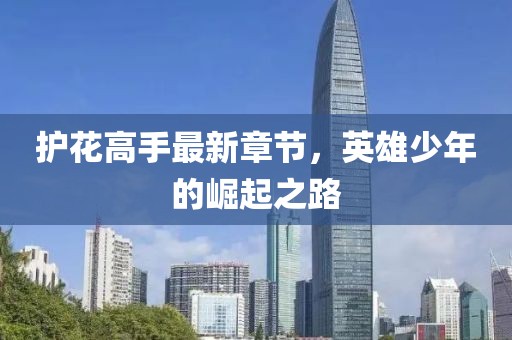 护花高手最新章节，英雄少年的崛起之路