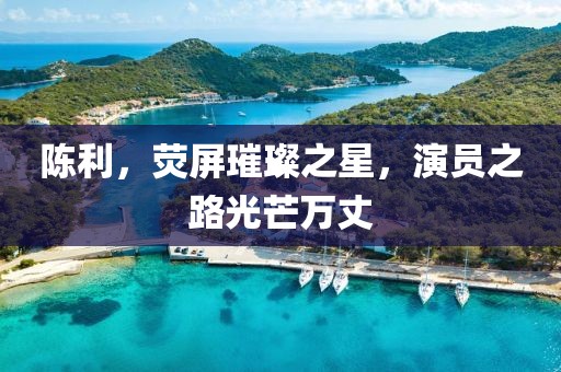 陈利，荧屏璀璨之星，演员之路光芒万丈