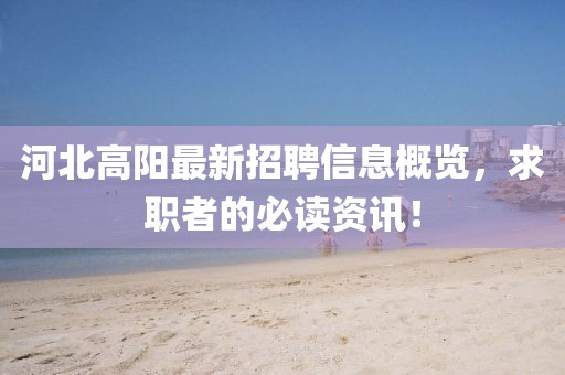 河北高阳最新招聘信息概览，求职者的必读资讯！