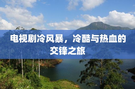电视剧冷风暴，冷酷与热血的交锋之旅