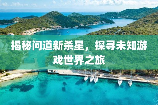 揭秘问道新杀星，探寻未知游戏世界之旅