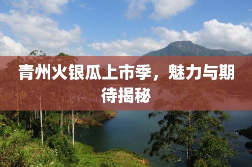 青州火银瓜上市季，魅力与期待揭秘