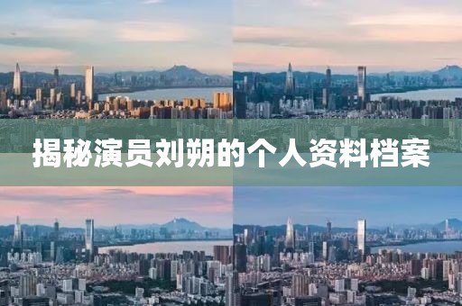 揭秘演员刘朔的个人资料档案