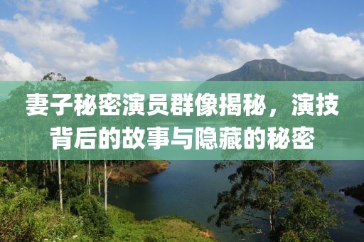 妻子秘密演员群像揭秘，演技背后的故事与隐藏的秘密