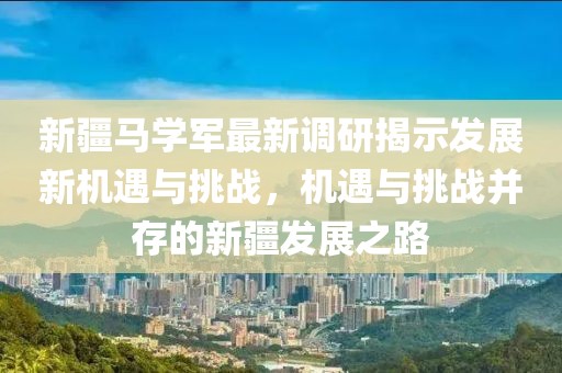 新疆马学军最新调研揭示发展新机遇与挑战，机遇与挑战并存的新疆发展之路