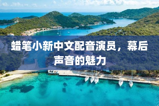 蜡笔小新中文配音演员，幕后声音的魅力
