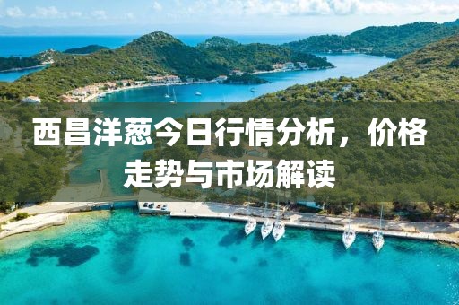西昌洋葱今日行情分析，价格走势与市场解读