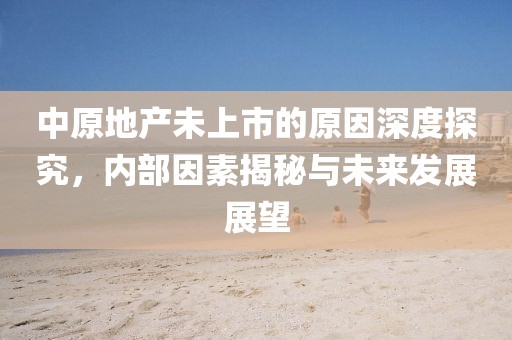 中原地产未上市的原因深度探究，内部因素揭秘与未来发展展望