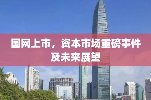 国网上市，资本市场重磅事件及未来展望