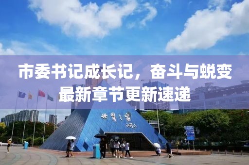 市委书记成长记，奋斗与蜕变最新章节更新速递