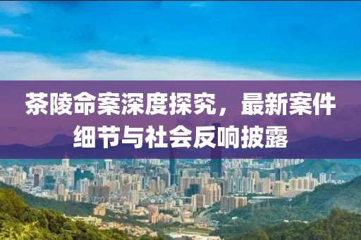 茶陵命案深度探究，最新案件细节与社会反响披露
