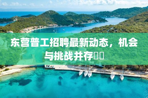 东营普工招聘最新动态，机会与挑战并存​​
