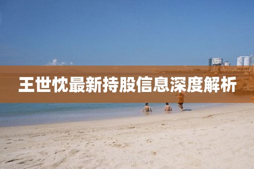 王世忱最新持股信息深度解析
