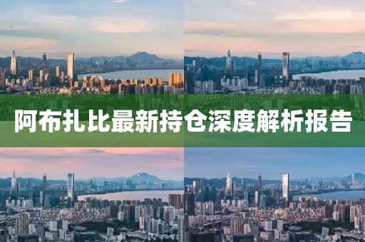 阿布扎比最新持仓深度解析报告