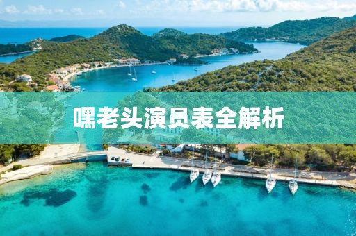 嘿老头演员表全解析