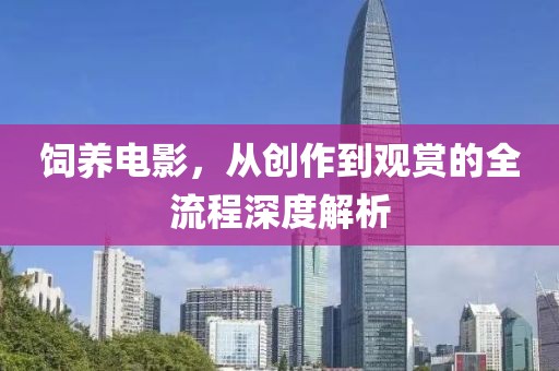 饲养电影，从创作到观赏的全流程深度解析