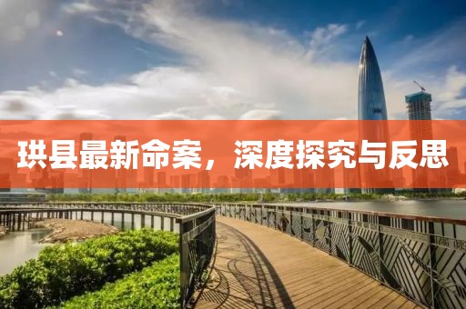 珙县最新命案，深度探究与反思