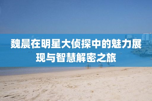 魏晨在明星大侦探中的魅力展现与智慧解密之旅
