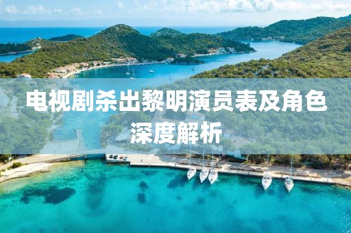 电视剧杀出黎明演员表及角色深度解析