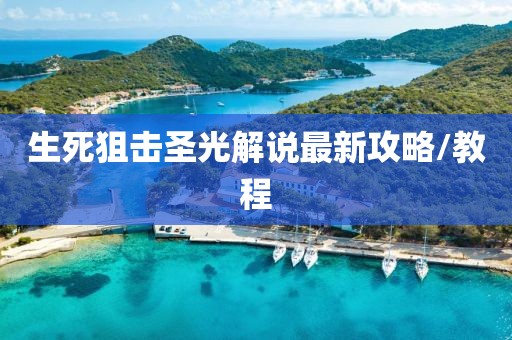 生死狙击圣光解说最新攻略/教程